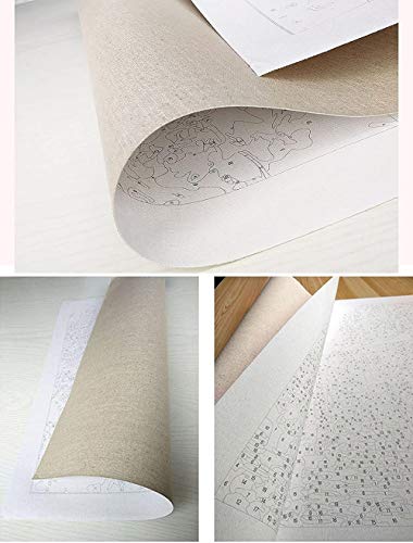 HJKGSX Pintar por Numeros Paisaje de la Villa 40X50 cm Adultos Niños Pintura al óleo DIY Lienzo Pintura por Números Kits Decoración de Pared Regalos Sin Marco