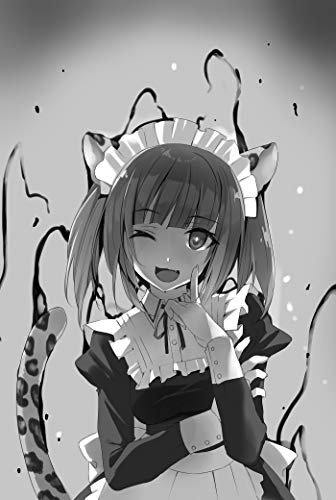 HOW NOT TO SUMMON DEMON LORD LIGHT NOVEL 04 (How NOT to Summon a Demon Lord (light novel))