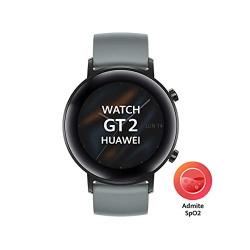 Huawei Watch GT 2 Sport - Smartwatch con Caja de 42 mm, Hasta 1 Semana de Batería, Pantalla táctil AMOLED 1.2", GPS, 15 Modos Deportivos, Pantalla 3D de Cristal, Gris (Lake Cyan)