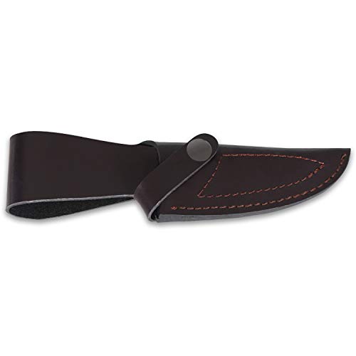 iFIELD Cuchillo de Caza Deportivo Camper EL29018, Mango de Olivo, Hoja de 10,8 cm, Acabado Pulido, virola de Acero, Funda de Piel marrón, Herramienta de Camping para Pesca, Caza, Actividad Deportiva