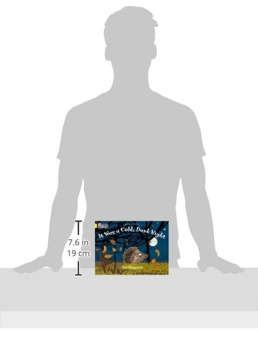 It Was a Cold Dark Night: Band 03/Yellow (Collins Big Cat)