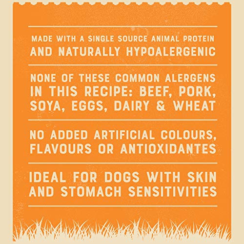 James Wellbeloved Senior Turkey and Rice Kibble 15 kg