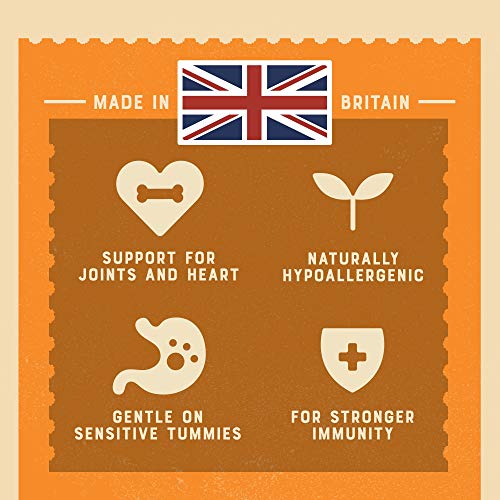 James Wellbeloved Senior Turkey and Rice Kibble 15 kg