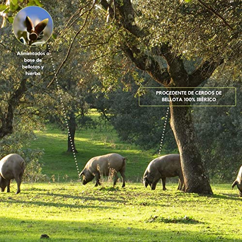 Jamón (Paleta) de Bellota 100% Ibérico Pata Negra Monte Nevado | Natural | Peso Mín. 4,5kg | Curación Media 24 Meses
