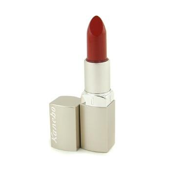 Kanebo Treatment Lip colour LP113 Red Earth, 1er Pack (1 x 4 G)