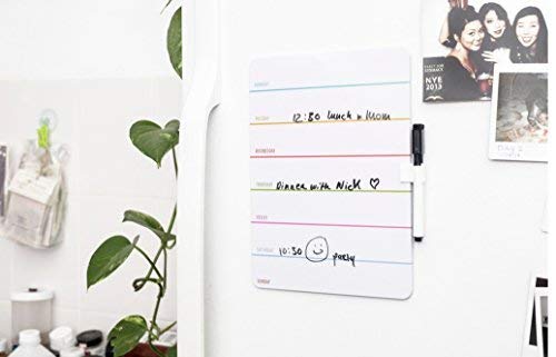 Kikkerland - Pizarra semana