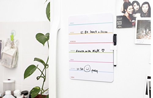 Kikkerland - Pizarra semana