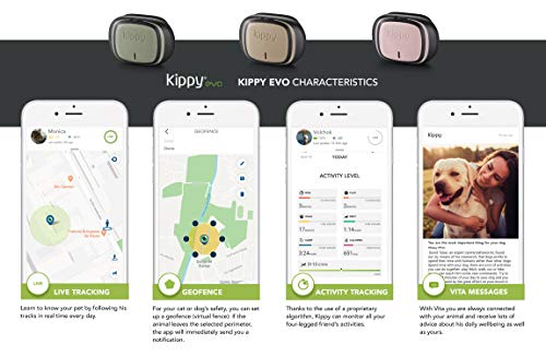 KIPPY - EVO - El Nuevo Collar GPS para Perros y Gatos - Seguimiento de Actividad, 38 gr, Waterproof, Bateria 10 dias, Green Forest