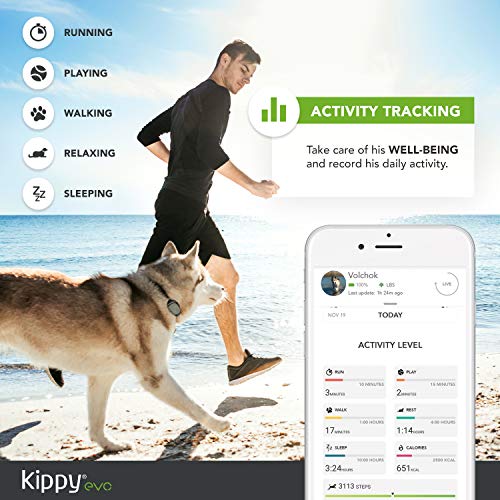 KIPPY - EVO - El Nuevo Collar GPS para Perros y Gatos - Seguimiento de Actividad, 38 gr, Waterproof, Bateria 10 dias, Green Forest