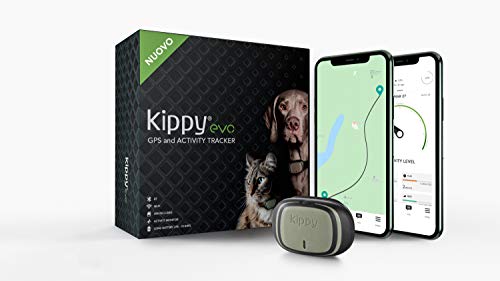 KIPPY - EVO - El Nuevo Collar GPS para Perros y Gatos - Seguimiento de Actividad, 38 gr, Waterproof, Bateria 10 dias, Green Forest