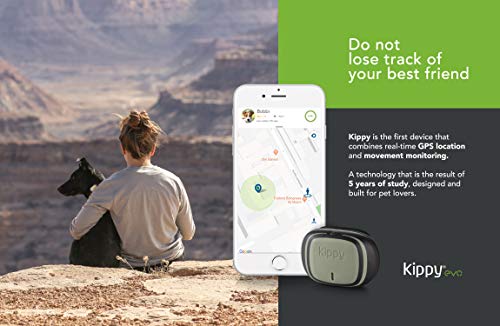 KIPPY - EVO - El Nuevo Collar GPS para Perros y Gatos - Seguimiento de Actividad, 38 gr, Waterproof, Bateria 10 dias, Green Forest