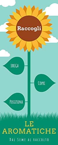 Kit 6 Variedades Semillas Aromáticas Pre-Sembradas en Disco para huerto urbano maceta exterior, Fácil de Usar