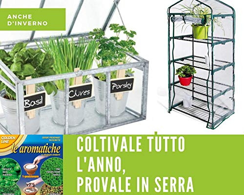 Kit 6 Variedades Semillas Aromáticas Pre-Sembradas en Disco para huerto urbano maceta exterior, Fácil de Usar