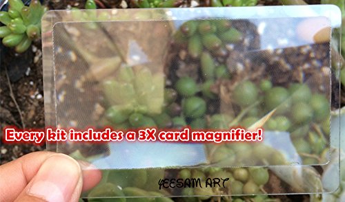 Kit de pintura por números para adultos y niños, de YEESAM Art; pintura de elefante, águila o león coloridos (40,6 x 50,8 cm), Rana, Without Frame