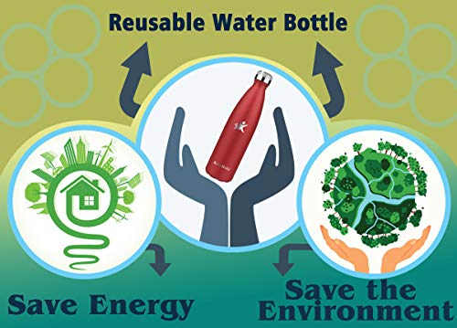 KollyKolla Botella de Agua Acero Inoxidable, Termo Sin BPA Ecológica, Botellas Termica Reutilizable Frascos Térmicos para Niños & Adultos, Deporte, Oficina, Yoga, Ciclismo, (750ml Azul Eléctrico)