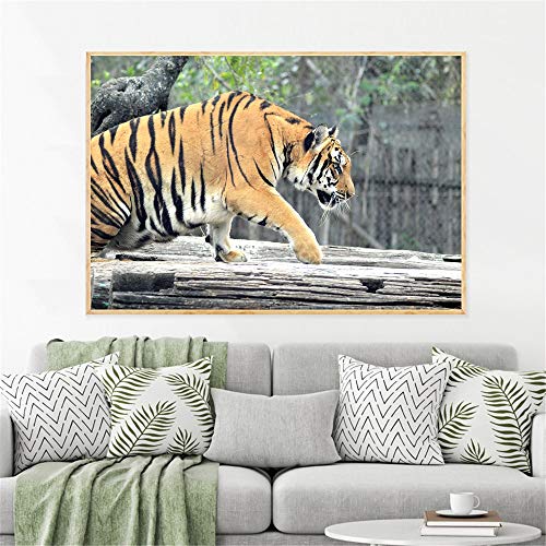 KWzEQ Imprimir en Lienzo Tigre Arte de la Pared Imagen Decorativa decoración del hogar Sala de Estar sofá decoración de la pared70x105cmPintura sin Marco