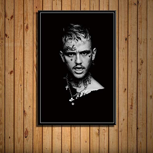 KWzEQ Music Star Singer Art Painting Silk Canvas Poster Wall Home Decoration artwork30X40cmPintura sin Marco