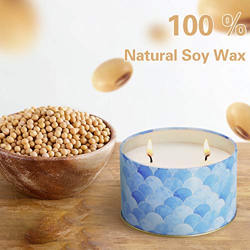 LA BELLEFÉE Velas Perfumadas Grande Arománticas Decorativas Dos Pabilos Aromaterapia 100% Cera de Soja Regalos Cumpleaños San Valentín Navidad Festivales - Lino