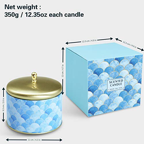 LA BELLEFÉE Velas Perfumadas Grande Arománticas Decorativas Dos Pabilos Aromaterapia 100% Cera de Soja Regalos Cumpleaños San Valentín Navidad Festivales - Lino