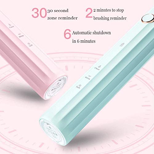 La energía eléctrica del cepillo de dientes, cepillos de dientes Blanqueamiento de Sonic Cepillo de dientes recargable USB con 2 Cabezales de repuesto 3 Cepillado Modos IPX7 impermeable for viajes Adu