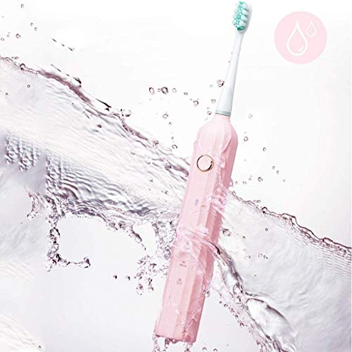 La energía eléctrica del cepillo de dientes, cepillos de dientes Blanqueamiento de Sonic Cepillo de dientes recargable USB con 2 Cabezales de repuesto 3 Cepillado Modos IPX7 impermeable for viajes Adu