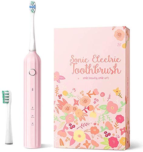 La energía eléctrica del cepillo de dientes, cepillos de dientes Blanqueamiento de Sonic Cepillo de dientes recargable USB con 2 Cabezales de repuesto 3 Cepillado Modos IPX7 impermeable for viajes Adu