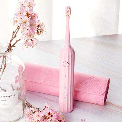 La energía eléctrica del cepillo de dientes, cepillos de dientes Blanqueamiento de Sonic Cepillo de dientes recargable USB con 2 Cabezales de repuesto 3 Cepillado Modos IPX7 impermeable for viajes Adu