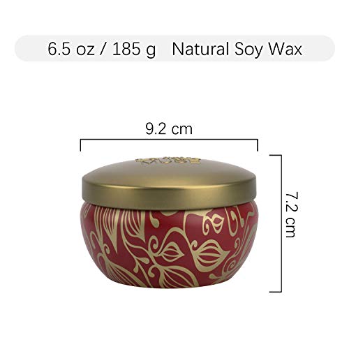 La Jolíe Muse Vela perfumada de Canela y Calabaza, Vela de Soja 100% Natural para Uso doméstico, bergamota de Vainilla y Tabaco, 35-45 Horas de duración, Caja, 6.5oz