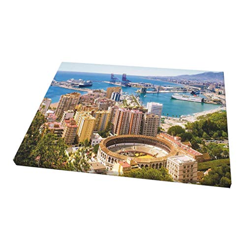 Landscape Aerial View of Malaga with Bullring and Harbor Spain Traditional European City Multicolor Painting Premium Panoramic Canvas Wall Art Painting 12"X 16"