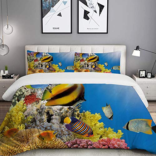 LASINSU Funda De Edredón,Colonia de corales en la Cima de un Arrecife en el Mar Rojo Egipto Peces exóticos Vida submarina acuática，3 Pcs Ropa de Cama Funda Nórdica Sábana Bajera (140 * 200CM)