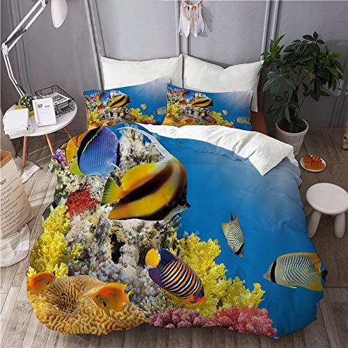 LASINSU Funda De Edredón,Colonia de corales en la Cima de un Arrecife en el Mar Rojo Egipto Peces exóticos Vida submarina acuática，3 Pcs Ropa de Cama Funda Nórdica Sábana Bajera (140 * 200CM)