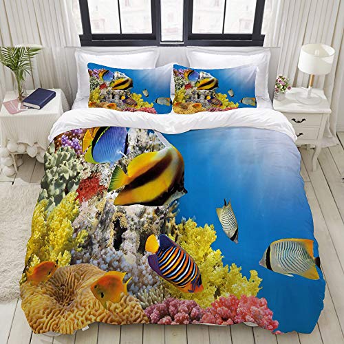 LASINSU Funda De Edredón,Colonia de corales en la Cima de un Arrecife en el Mar Rojo Egipto Peces exóticos Vida submarina acuática，3 Pcs Ropa de Cama Funda Nórdica Sábana Bajera (140 * 200CM)