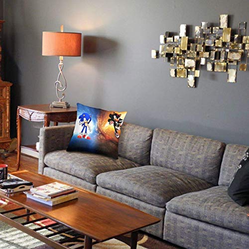 Leila Marcus Ultra Acogedora funda de almohada de terciopelo hipoalergénico y Sombra El Erizo Póster, Único Funda de Cojín con Cremallera para Patio Sala de estar Sofá de 45,72 x 45,72 cm