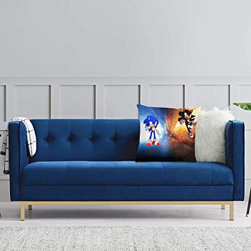 Leila Marcus Ultra Acogedora funda de almohada de terciopelo hipoalergénico y Sombra El Erizo Póster, Único Funda de Cojín con Cremallera para Patio Sala de estar Sofá de 45,72 x 45,72 cm