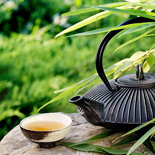 Les Papoteuses | Té blanco con limón y jengibre orgánico | certificado orgánico y comercio justo | Té orgánico 24 sobres | lote de 3 cajas