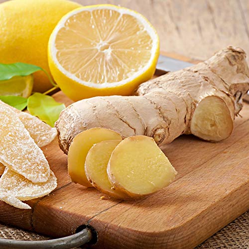 Les Papoteuses | Té blanco con limón y jengibre orgánico | certificado orgánico y comercio justo | Té orgánico 24 sobres | lote de 3 cajas