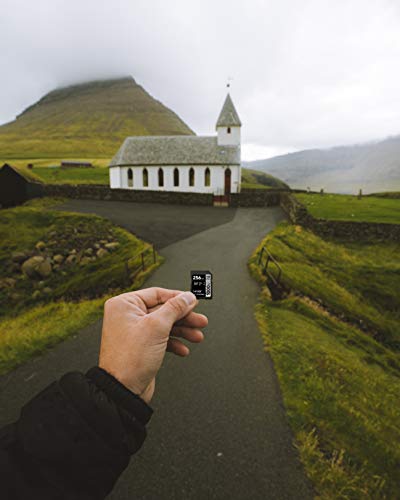 Lexar Professional - Tarjeta de memoria 1000x SDXC de 128 GB