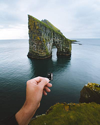 Lexar Professional - Tarjeta de memoria 1000x SDXC de 128 GB