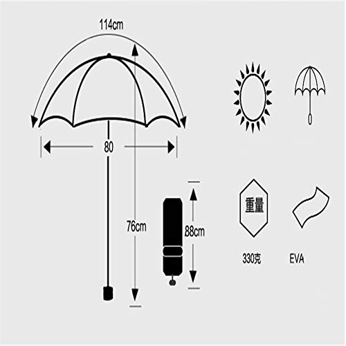 Lin Nan Paraguas de la Flor de Cerezo Hermosa Creativa Transparente Mango Largo Cúpula Romántica Medio Paraguas Automático para Mujeres, Purple
