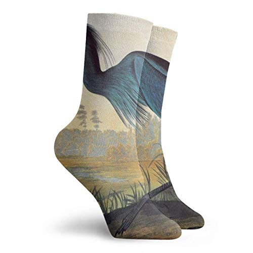 Little Blue Heron, hombres, mujeres, mujeres y niñas, calcetines clásicos de tripulación, calcetines de vestir atléticos personalizados, 30 cm de largo para toda la temporada