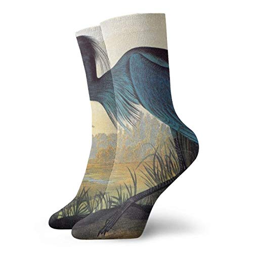 Little Blue Heron, hombres, mujeres, mujeres y niñas, calcetines clásicos de tripulación, calcetines de vestir atléticos personalizados, 30 cm de largo para toda la temporada