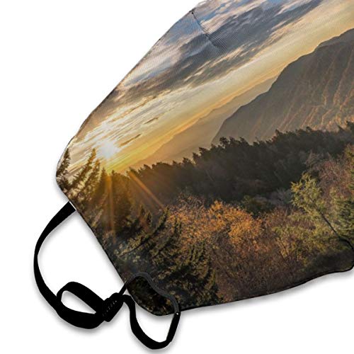 Los modelos masculinos y femeninos son coloridos, protectores faciales transpirables para adultos, línea de nariz ajustable y aretes, pueden lavar el polvo Código M