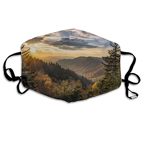 Los modelos masculinos y femeninos son coloridos, protectores faciales transpirables para adultos, línea de nariz ajustable y aretes, pueden lavar el polvo Código M