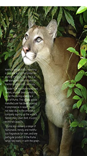 Luxury Trine Newsletter