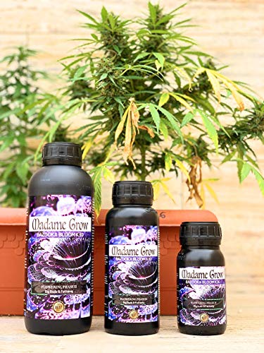 MADAME GROW / Abono Floración/Marihuana/Revienta Cogollos/Cannabis/Bazooka Bloom K30 / Cogollos explosivos/Más Resina/Superconcentrado de Potasio K30 / Abono 100% Orgánico (250 ml)