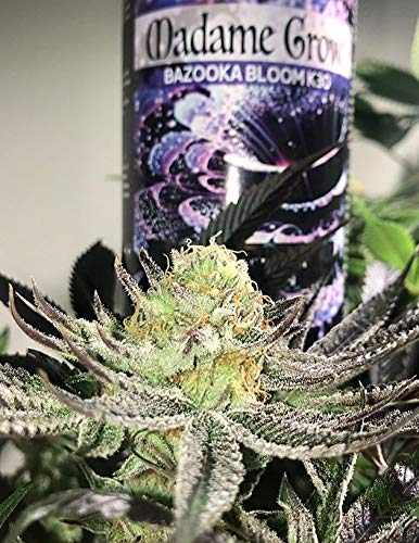 MADAME GROW / Abono Floración/Marihuana/Revienta Cogollos/Cannabis/Bazooka Bloom K30 / Cogollos explosivos/Más Resina/Superconcentrado de Potasio K30 / Abono 100% Orgánico (250 ml)