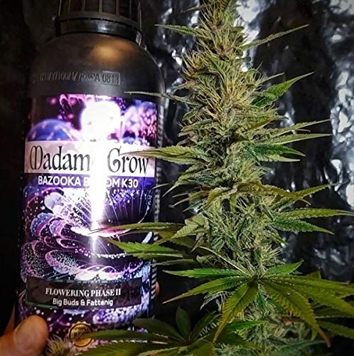 MADAME GROW / Abono Floración/Marihuana/Revienta Cogollos/Cannabis/Bazooka Bloom K30 / Cogollos explosivos/Más Resina/Superconcentrado de Potasio K30 / Abono 100% Orgánico (250 ml)