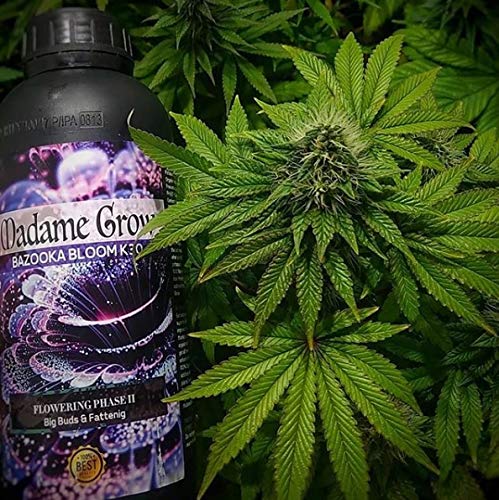 MADAME GROW / Abono Floración/Marihuana/Revienta Cogollos/Cannabis/Bazooka Bloom K30 / Cogollos explosivos/Más Resina/Superconcentrado de Potasio K30 / Abono 100% Orgánico (250 ml)