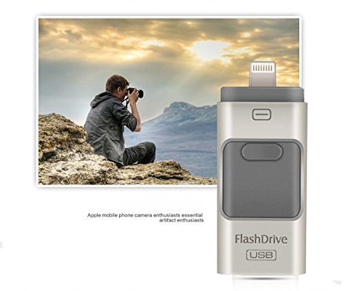 Memoria USB OTG 3 en 1, para iPhone 4, iPhone 8/7/6/6S/5/, iPad y Samsung (256.00GB)