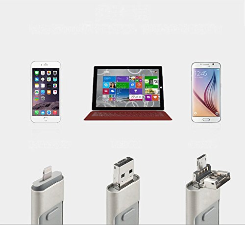 Memoria USB OTG 3 en 1, para iPhone 4, iPhone 8/7/6/6S/5/, iPad y Samsung (256.00GB)